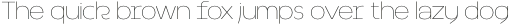 Accio Thin otf (100)
