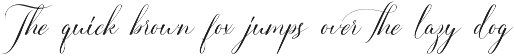 Crystal Loom Stunning Script Font preview