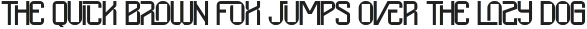 Beginning Condensed Light otf (300)