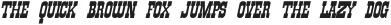 GansItalianaItalic Regular otf (400)