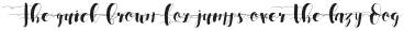 SobodTypefaceSwashOne otf (400)