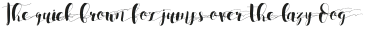 SobodTypefaceSwashTwo otf (400)