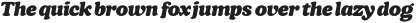 Chunk Black Italic otf (900)
