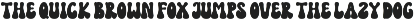 Funky Holiday - Groovy Retro Font preview