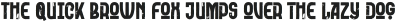 Truecolor Regular otf (400)