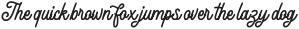 Thunder Heat Medium Script otf (500)