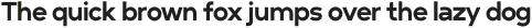 Minimal Sans Bold otf (700)
