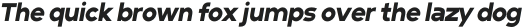 Minimal Sans Black Italics otf (900)