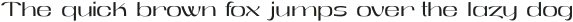 Screening Club Display Light ttf (300)