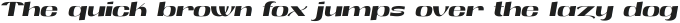 Screening Club Display Bold Italic ttf (700)