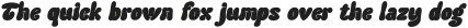 Funy Beach Italic otf (400)
