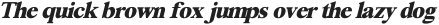 Segikan Heavy Italic ttf (800)