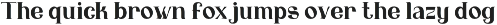 Goocy Goofy | Display Typeface preview