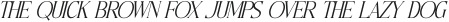 Merogza Italic otf (400)
