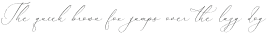 Foresta Monesta Script Italic otf (400)