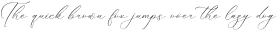 Florens Script otf (400)