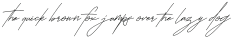 Ballifornia Signature Italic otf (400)