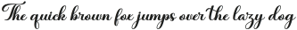 Hi Shizuka Italic Regular otf (400)