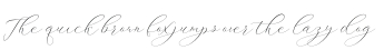 ithalia script Regular otf (400)