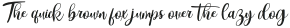 White Sparkle Italic Regular otf (400)