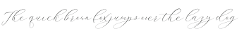 ithalia script Slant Regular otf (400)