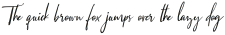 Angel Italic otf (100)
