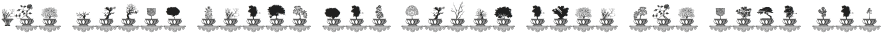 Bonsai Paufo Two ttf (400)