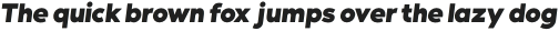 Contempo Gothic Black Italic otf (900)