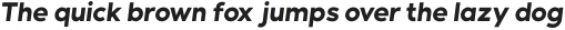 Contempo Gothic Bold Italic otf (700)