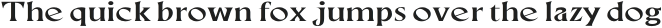 Neela Medium Expanded otf (500) Sample