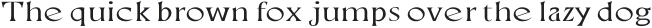 Neela Thin Expanded otf (100)