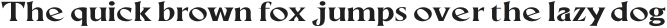 Neela Bold Expanded otf (700)