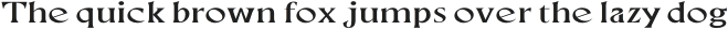 Neela Expanded otf (400) Sample