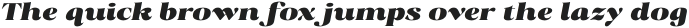Radiant Charisma Black Italic otf (900)