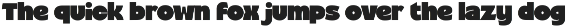 Janeiro - Vintage Bold Font preview