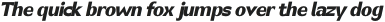 Canosa Extra Bold Italic otf (700)