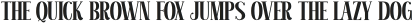 Metrovia Serif otf (400)