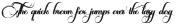 Crunge Bright Regular ttf (400)