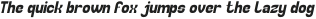 Collect the Moment Italic otf (400)