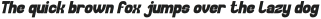 Collect the Moment Bold Italic otf (700)