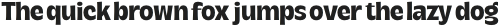 DT Serifia SemiBold otf (600)
