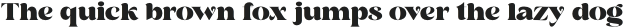 Siency Display Regular otf (400)