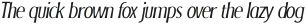 Lewiston Light Round Italic otf (300)