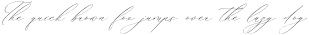 Hacburk Matrositia Script Italic otf (400)