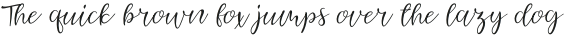 Homhay Script Regular otf (400) Sample