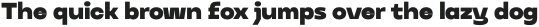 NEUGRO TYPEFACE Black otf (900)