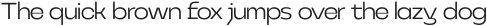 NEUGRO TYPEFACE Light otf (300)
