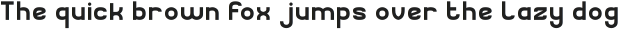 SUBWAY-Light otf (300)