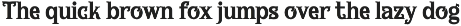 Hanora Vintage Display Font font preview