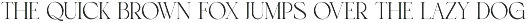 Berny Loves _ Serif Ligature preview